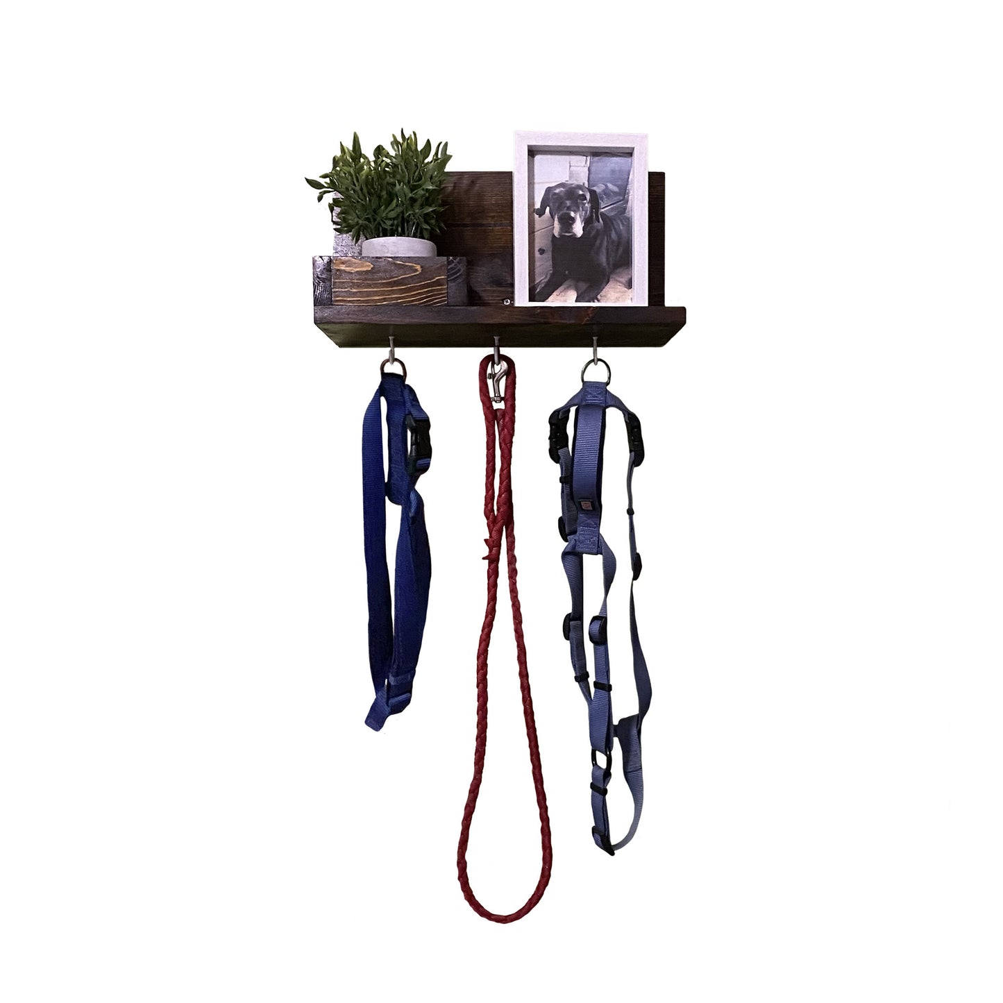 Pine Pet Shelf