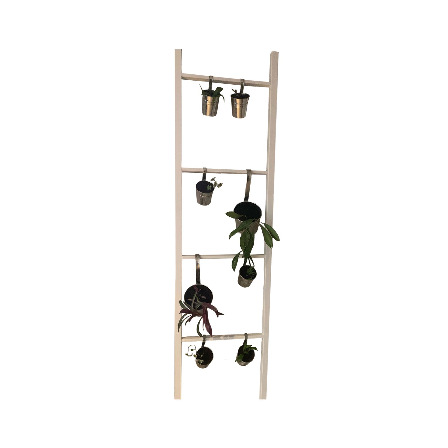 Rustic Spruce Farmhouse Ladder