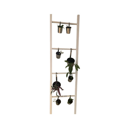 Rustic Spruce Farmhouse Ladder
